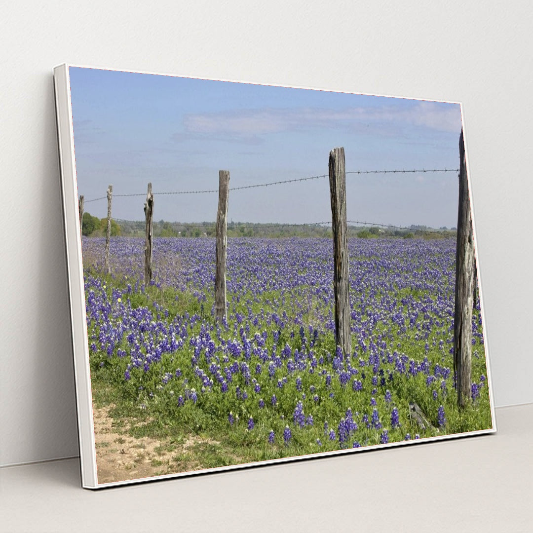 7090288984099 - Product Image