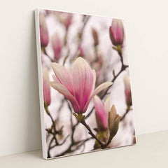 Blush Magnolia by Wolfgang Hasselmann - White Frame Stretchiez