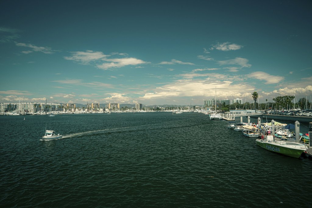 Anthony Brown - Scenic view of a vibrant marina with boats and city skyline under a clear sky.