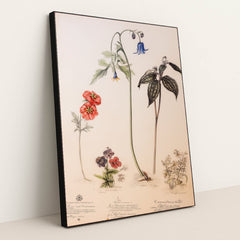 6435 - Product Image