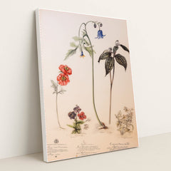 6435 - Product Image