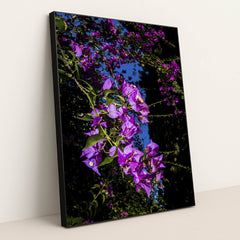 Vibrant Bougainvillea Under Blue Sky by Victor Moragriega - Black Frame Stretchiez