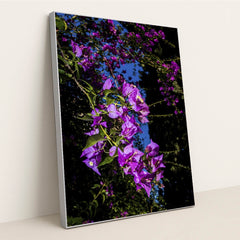 Vibrant Bougainvillea Under Blue Sky by Victor Moragriega - Silver Frame Stretchiez
