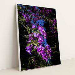 Vibrant Bougainvillea Under Blue Sky by Victor Moragriega - White Frame Stretchiez