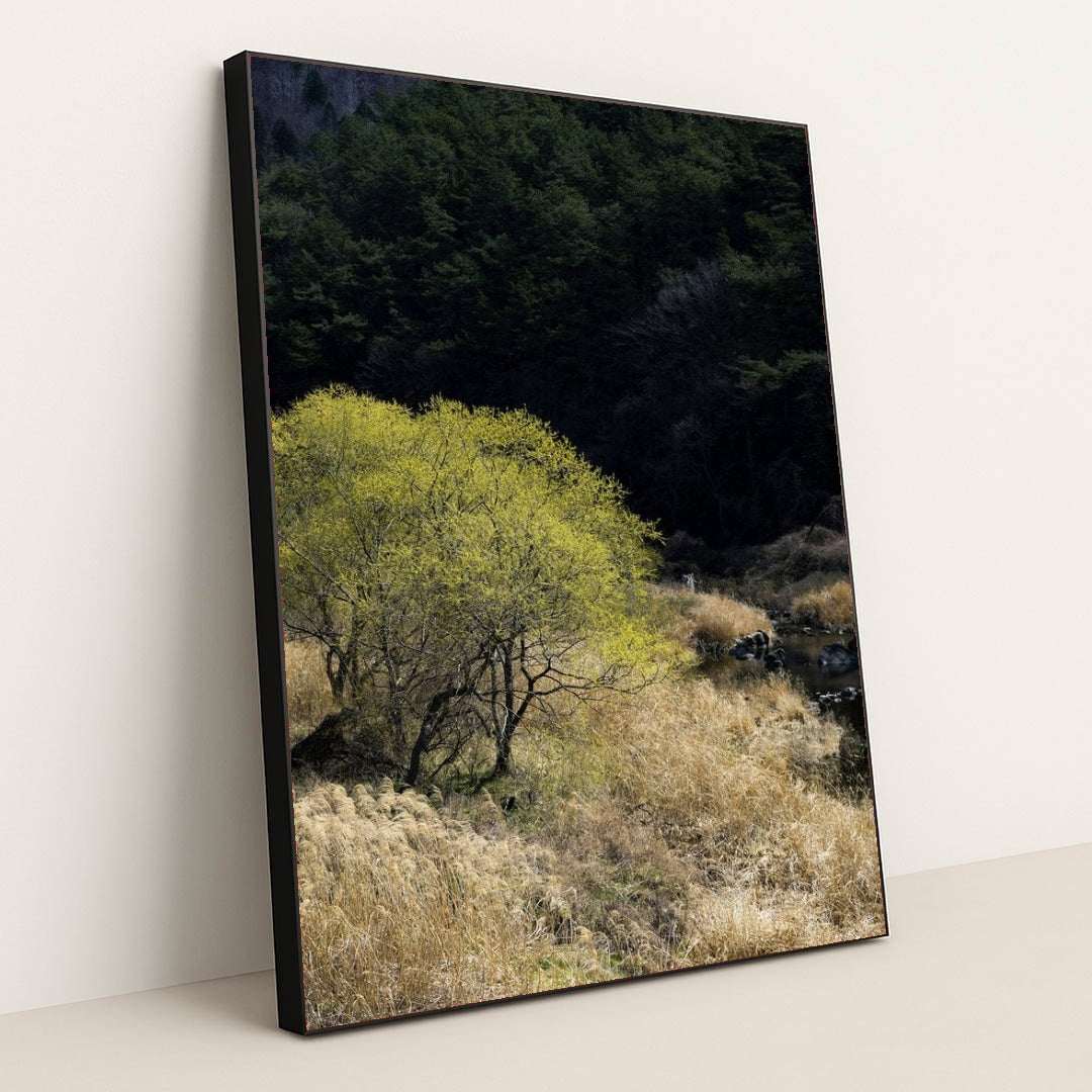 7090357338147 - Product Image