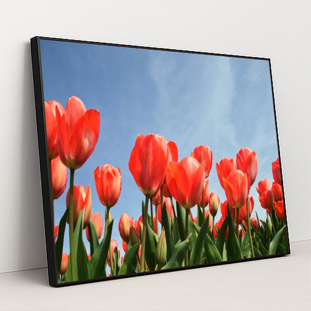 Tulips Reaching the Sky by Esther Gorlee - Black Frame Stretchiez