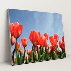 Tulips Reaching the Sky by Esther Gorlee - Silver Frame Stretchiez