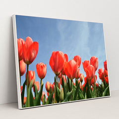 Tulips Reaching the Sky by Esther Gorlee - White Frame Stretchiez