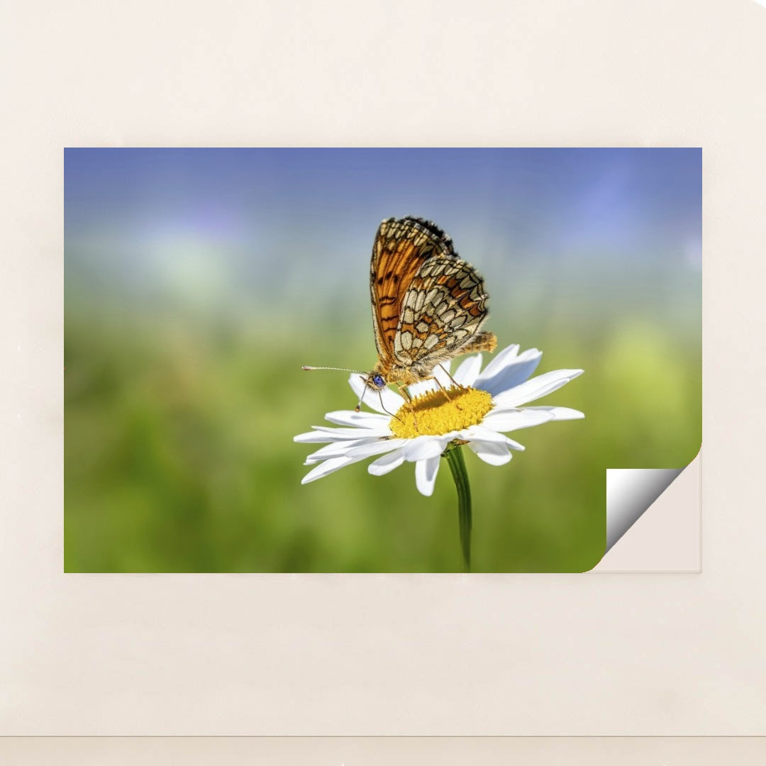 7090292129827 - Product Image