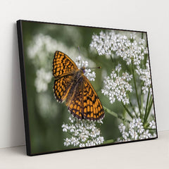 7090295144483 - Product Image