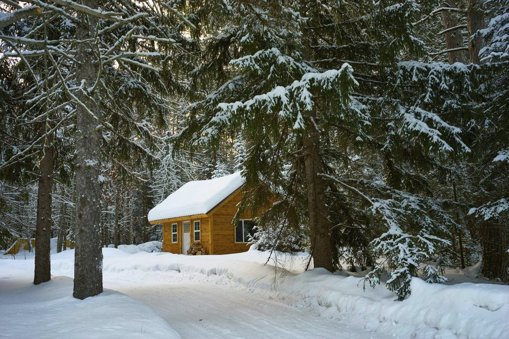 Adriaan Greyling - Charming winter cabin nestled among snowy evergreens in Duluth, MN.