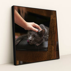 7090691178531 - Product Image