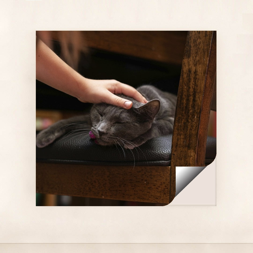 7090691178531 - Product Image