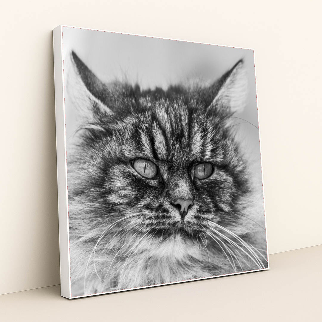 7090342592547 - Product Image