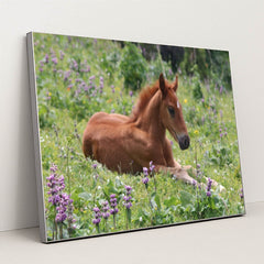 Meadow Foal by Natalia Slastnikova - Silver Frame Stretchiez