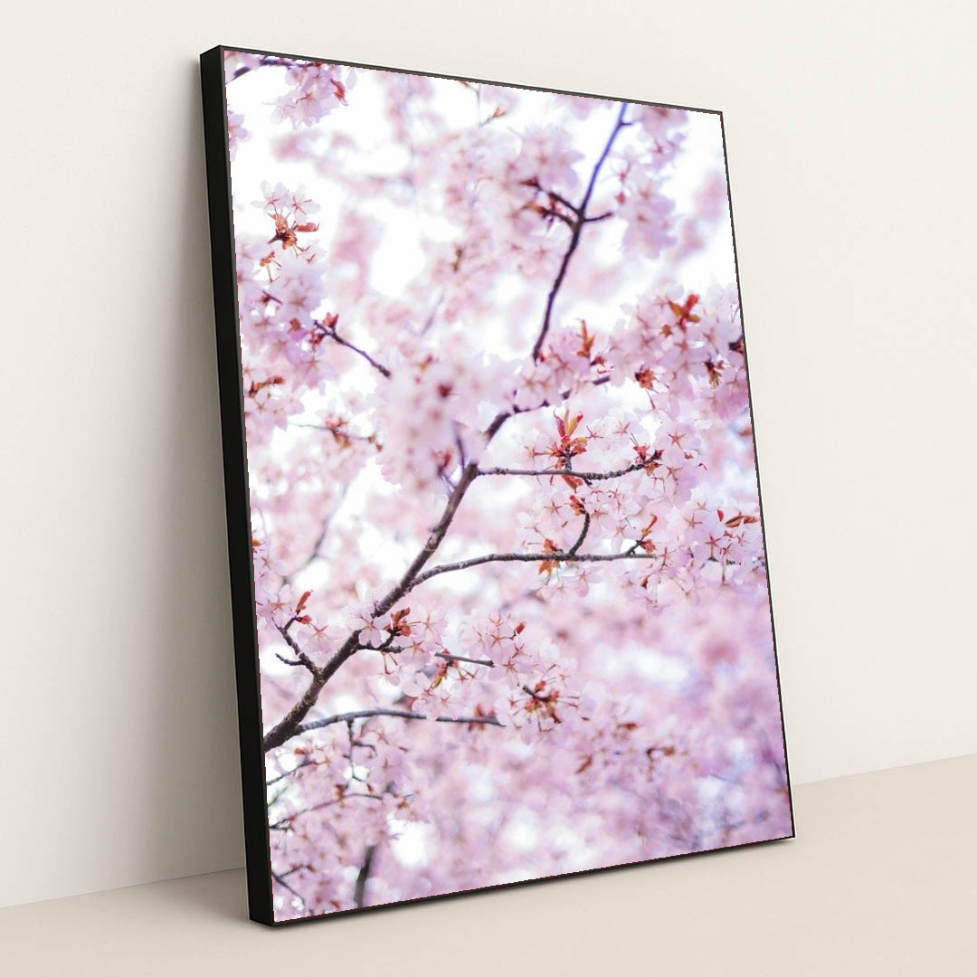 7090353078307 - Product Image