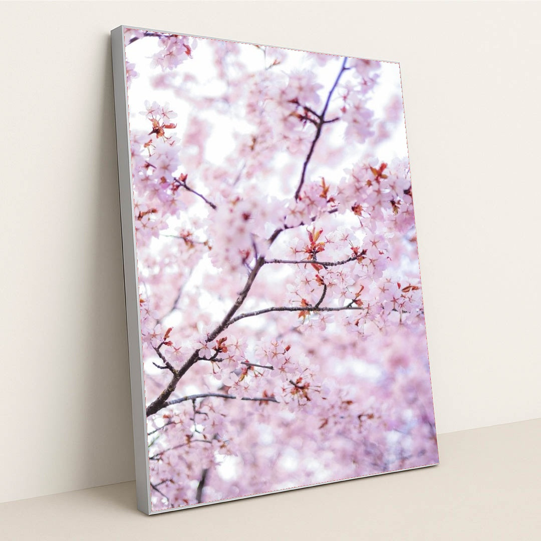 7090353078307 - Product Image