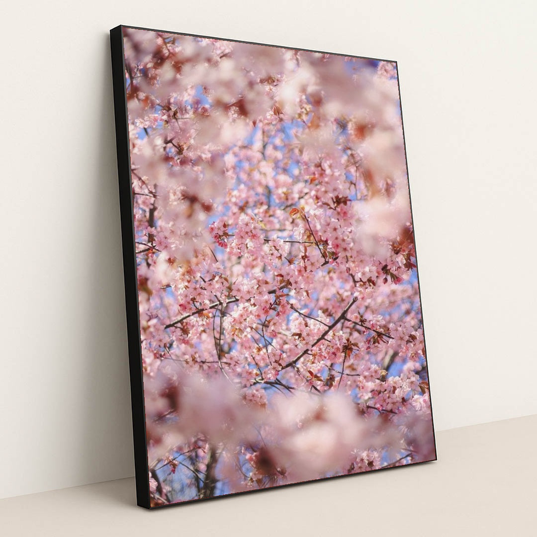 7090346065955 - Product Image