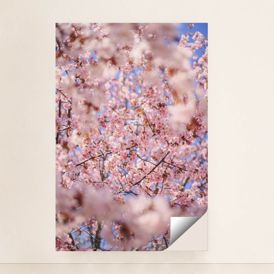 7090346065955 - Product Image