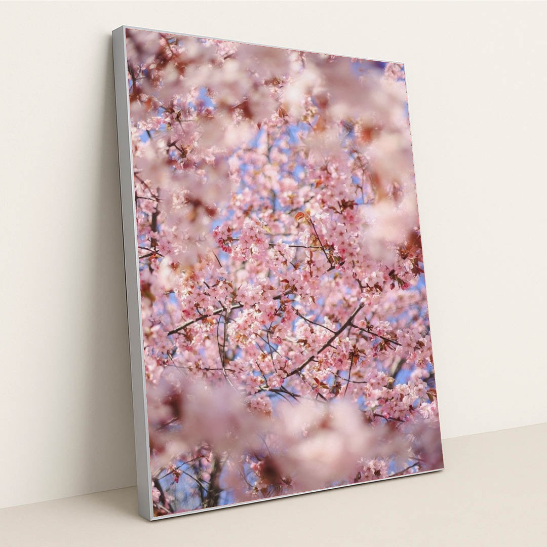 7090346065955 - Product Image