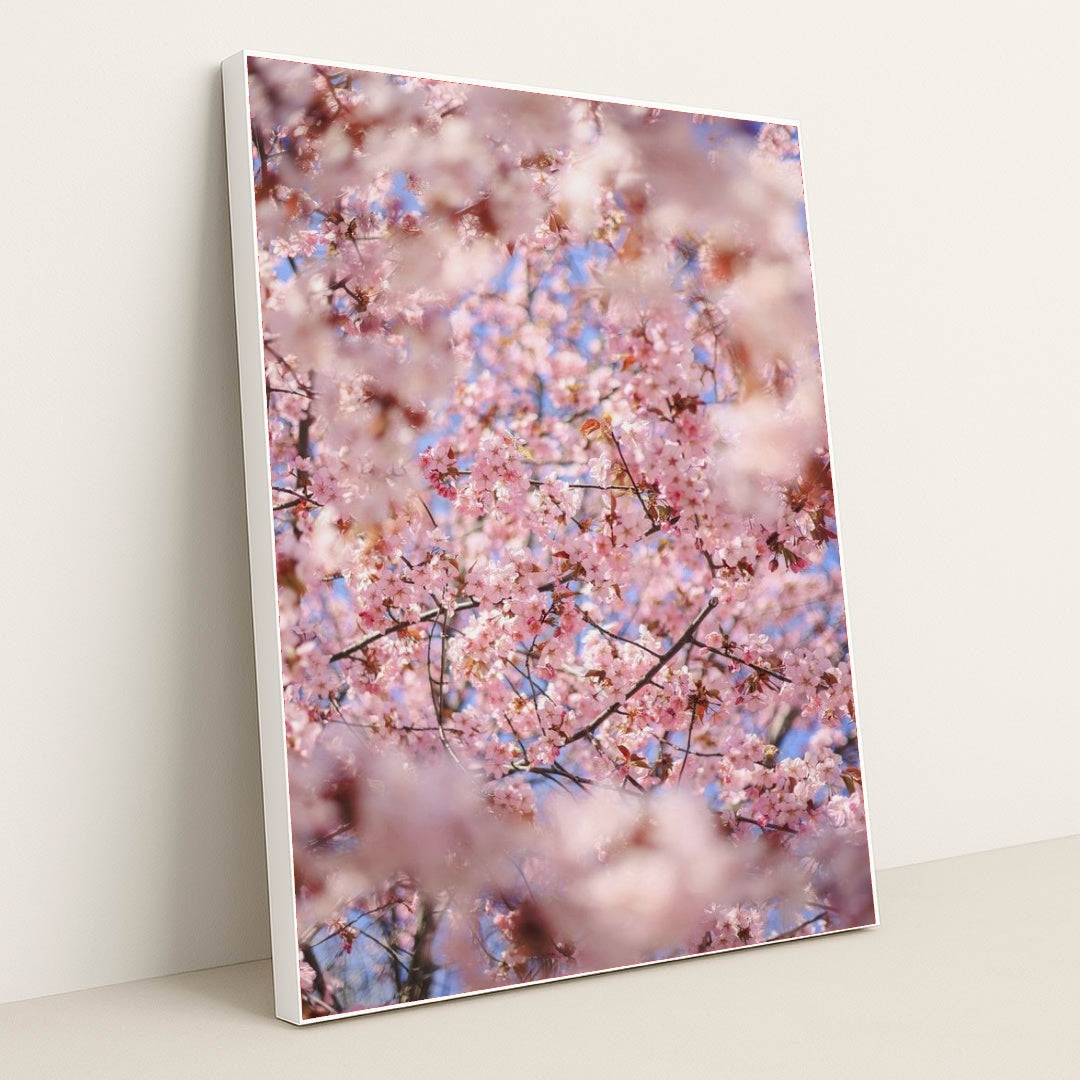 7090346065955 - Product Image