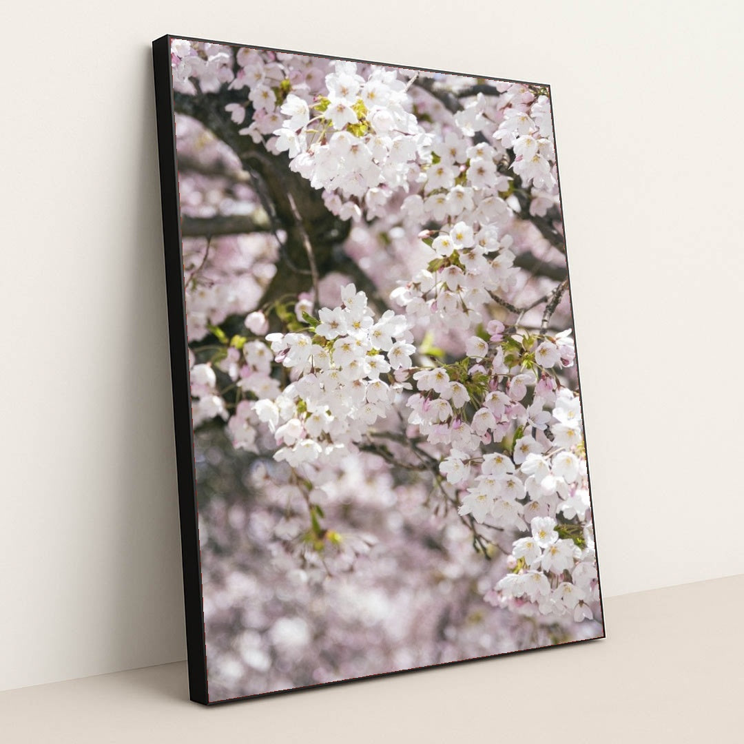 7090345705507 - Product Image