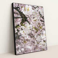 7090345705507 - Product Image