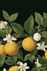 Citrus Reverie by Vanta Bloom