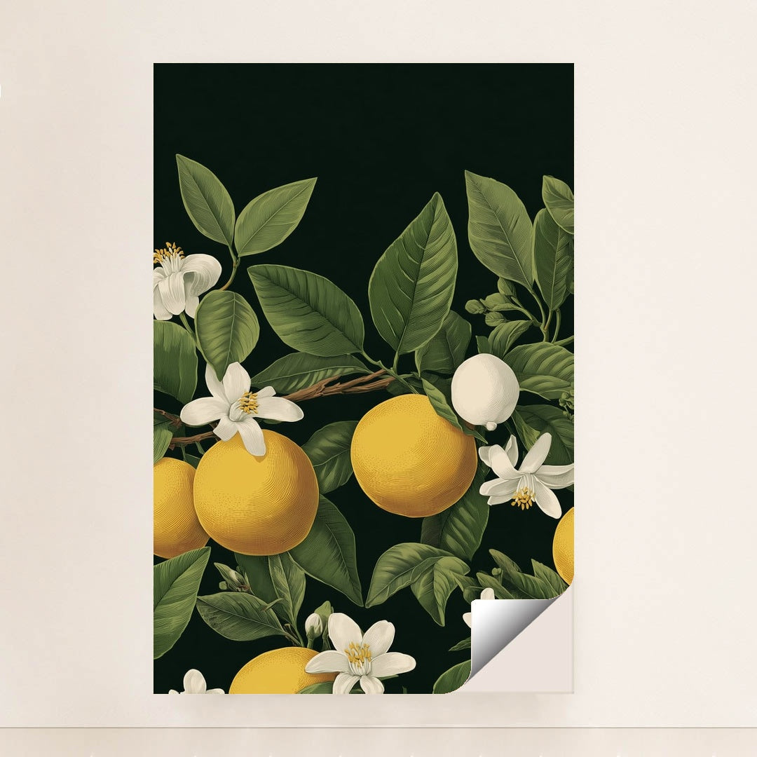 Citrus Reverie by Vanta Bloom - Peeliez