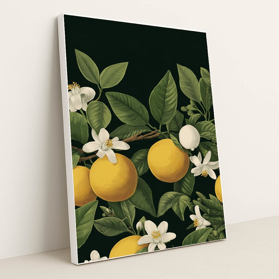 Citrus Reverie by Vanta Bloom - White Frame Stretchiez