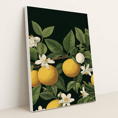 Citrus Reverie by Vanta Bloom - White Frame Stretchiez
