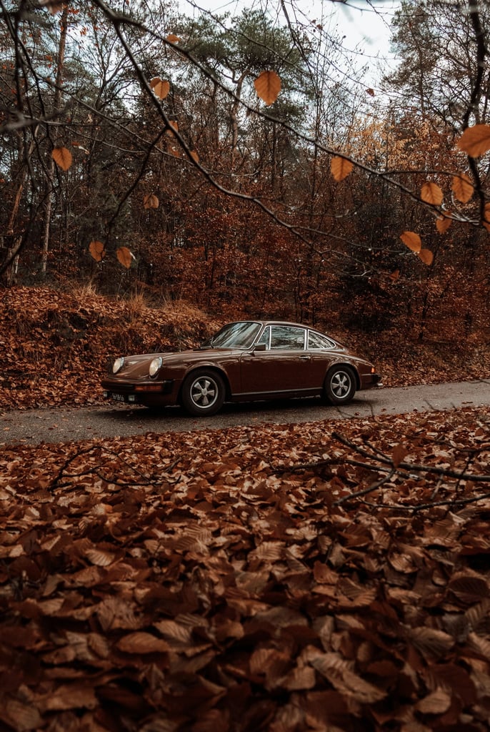 Vintage Porsche Among Fall Leaves parked on a leaf-covered road, showcasing its bold design in an autumn scenic setting.