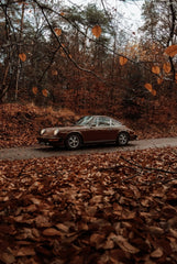 Vintage Porsche Among Fall Leaves parked on a leaf-covered road, showcasing its bold design in an autumn scenic setting.
