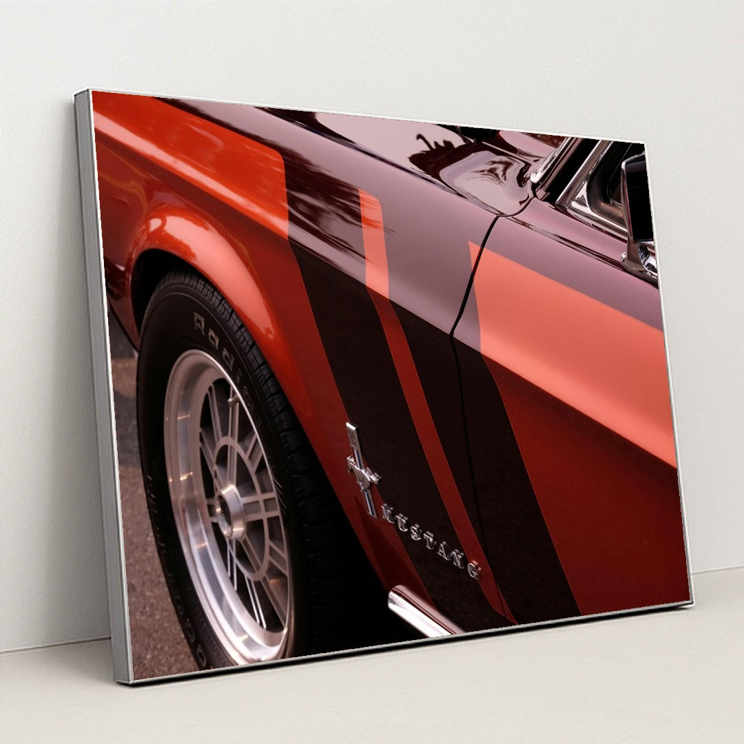 Ford Mustang by Bruce Warrington - Silver Frame Stretchiez