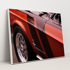 Ford Mustang by Bruce Warrington - White Frame Stretchiez