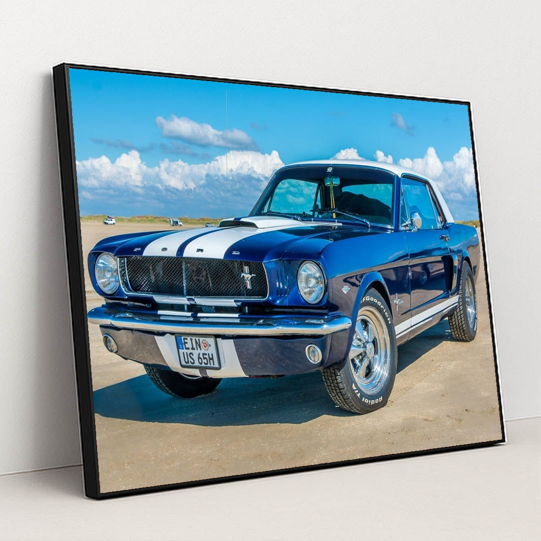 Coastal ’65 by Thomas Jodoin - Black Frame Stretchiez