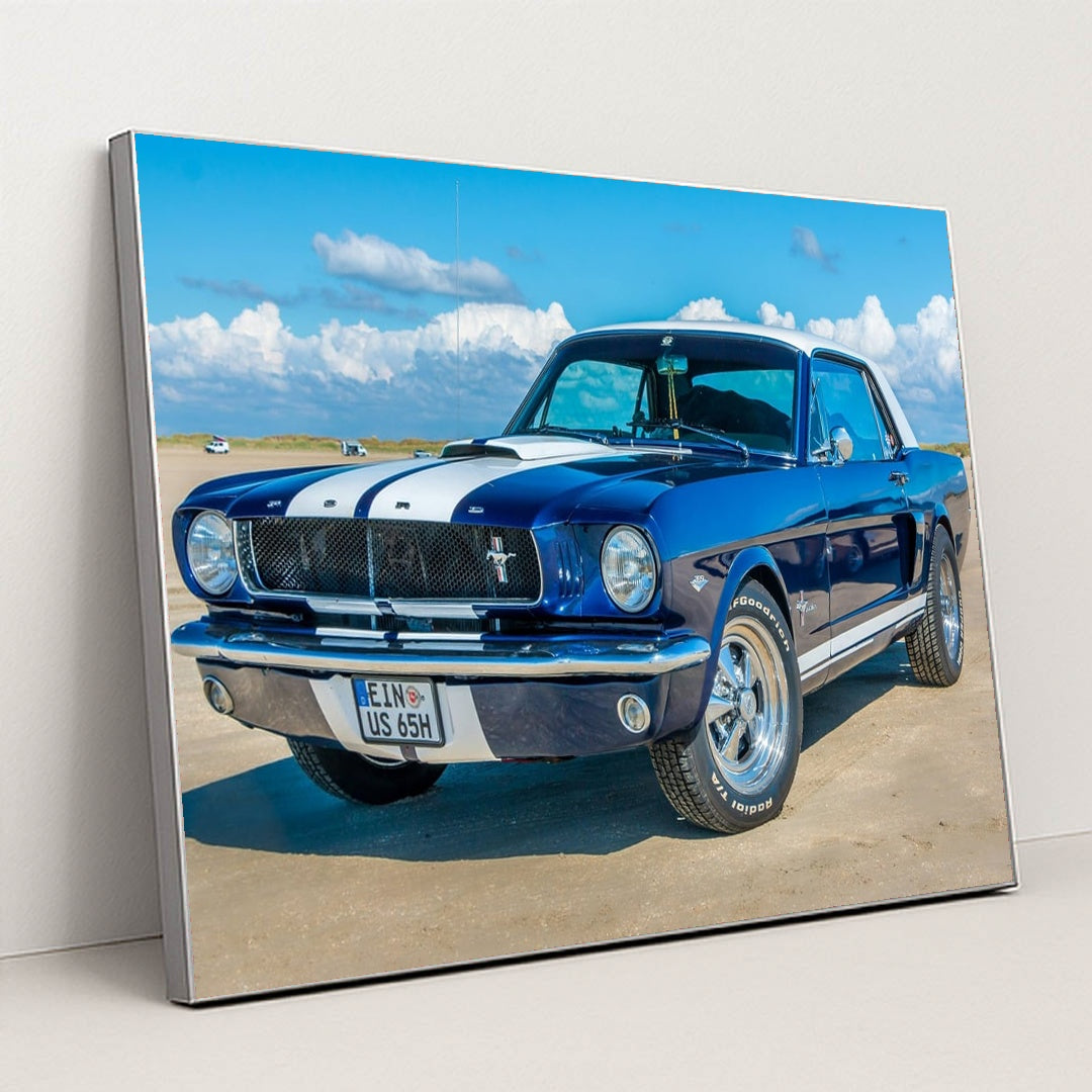 Coastal ’65 by Thomas Jodoin - Silver Frame Stretchiez