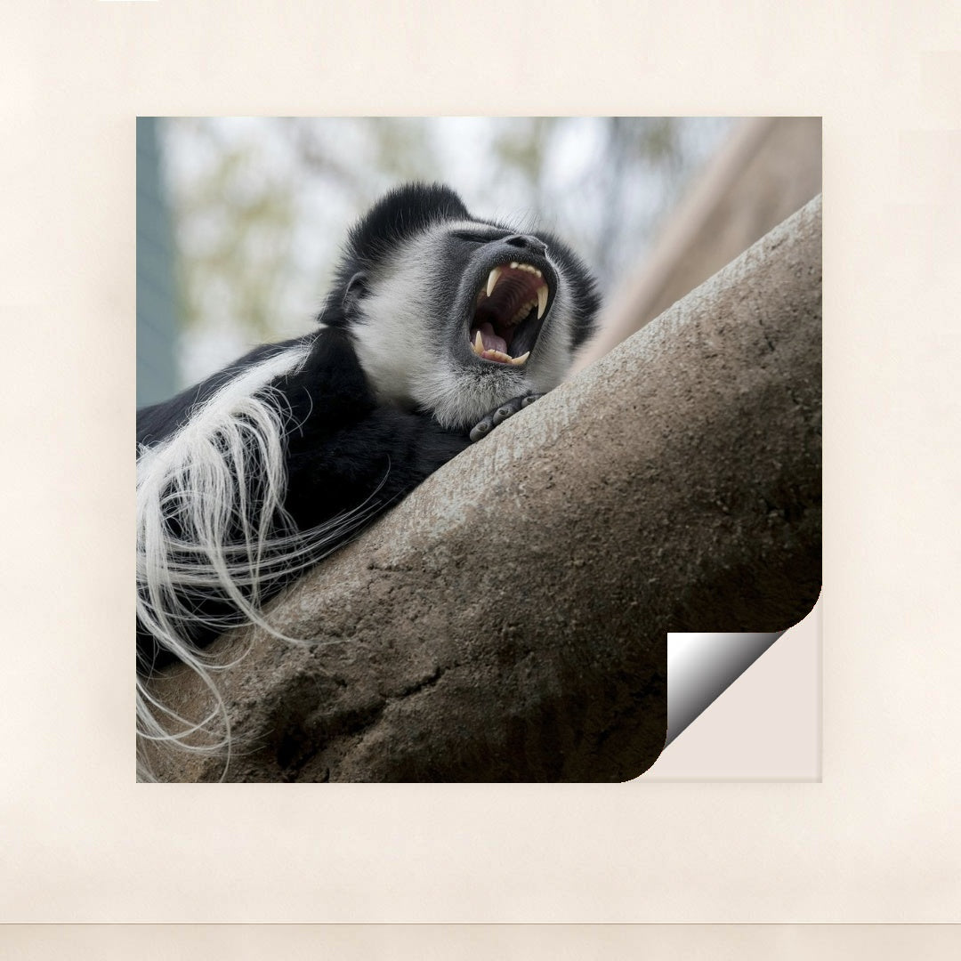 7090336399395 - Product Image