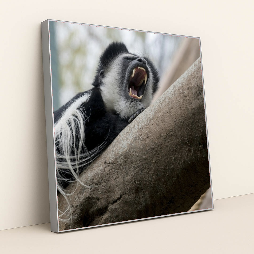 7090336399395 - Product Image