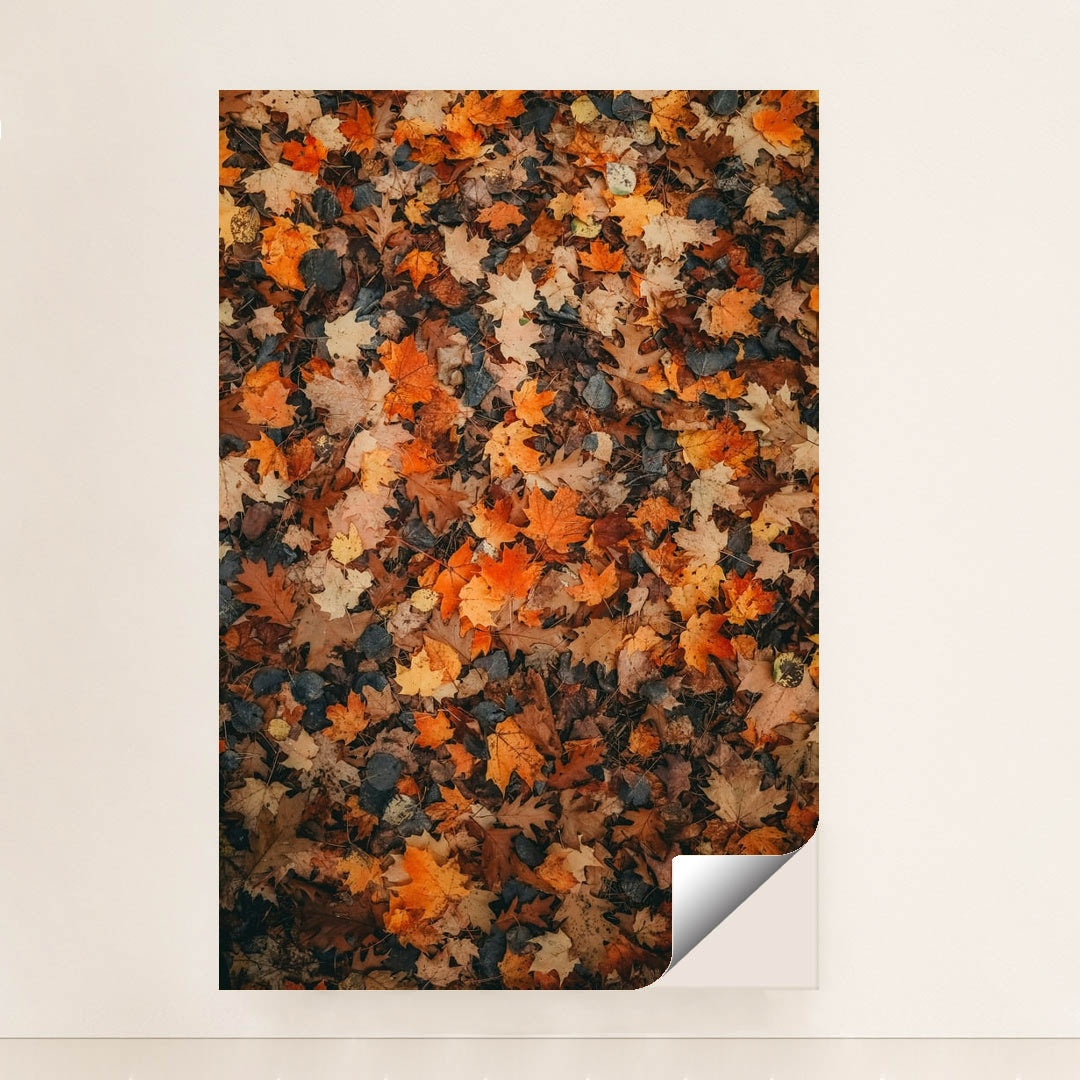 Colorful Fallen Maple and Oak Leaves on Forest Floor by Hans - Peeliez