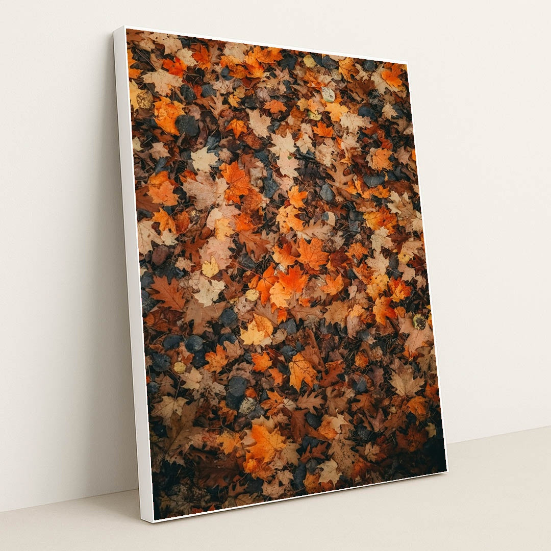 Colorful Fallen Maple and Oak Leaves on Forest Floor by Hans - White Frame Stretchiez