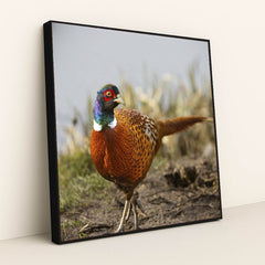 7090328862755 - Product Image