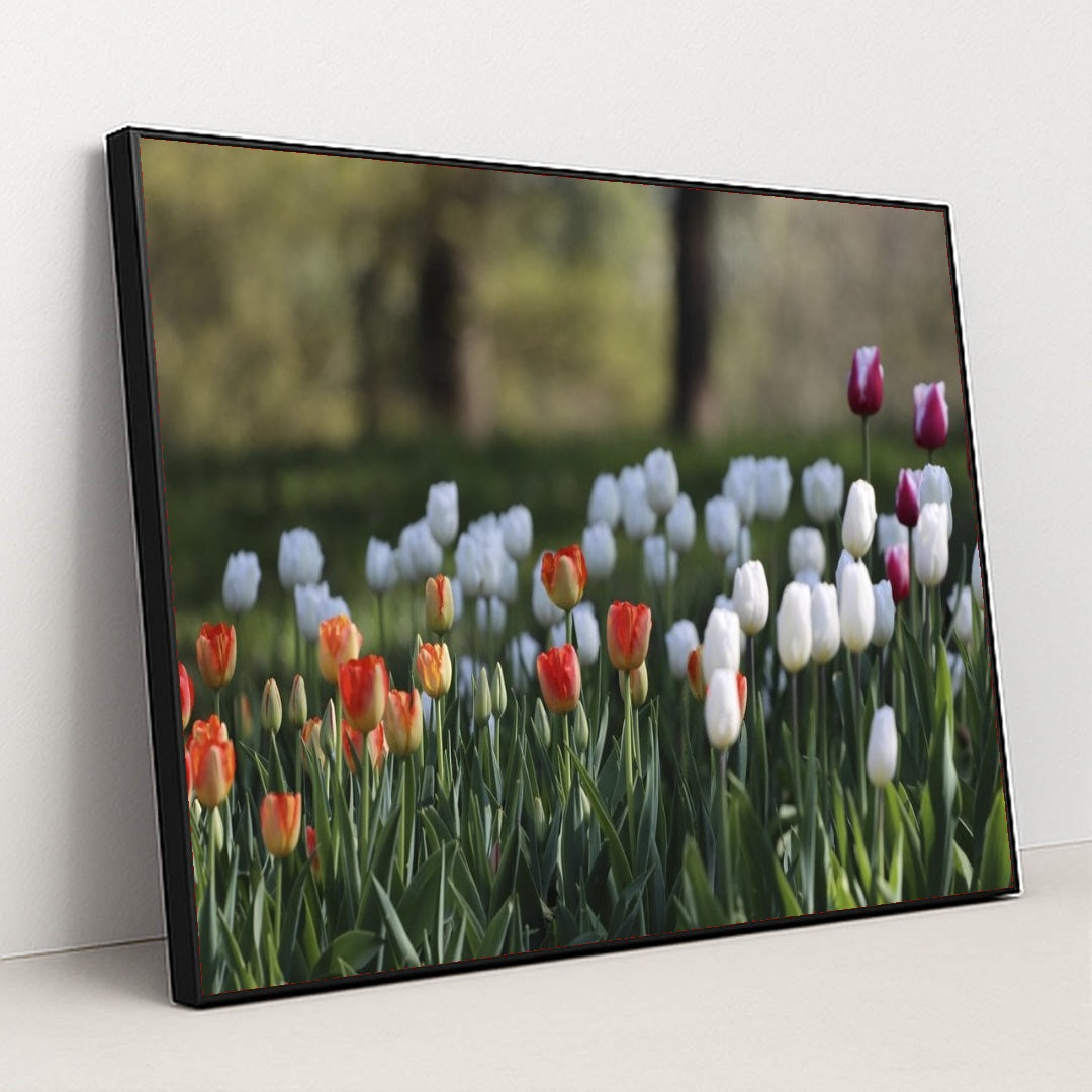 7090358419491 - Product Image