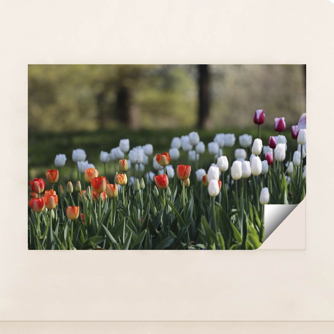 7090358419491 - Product Image