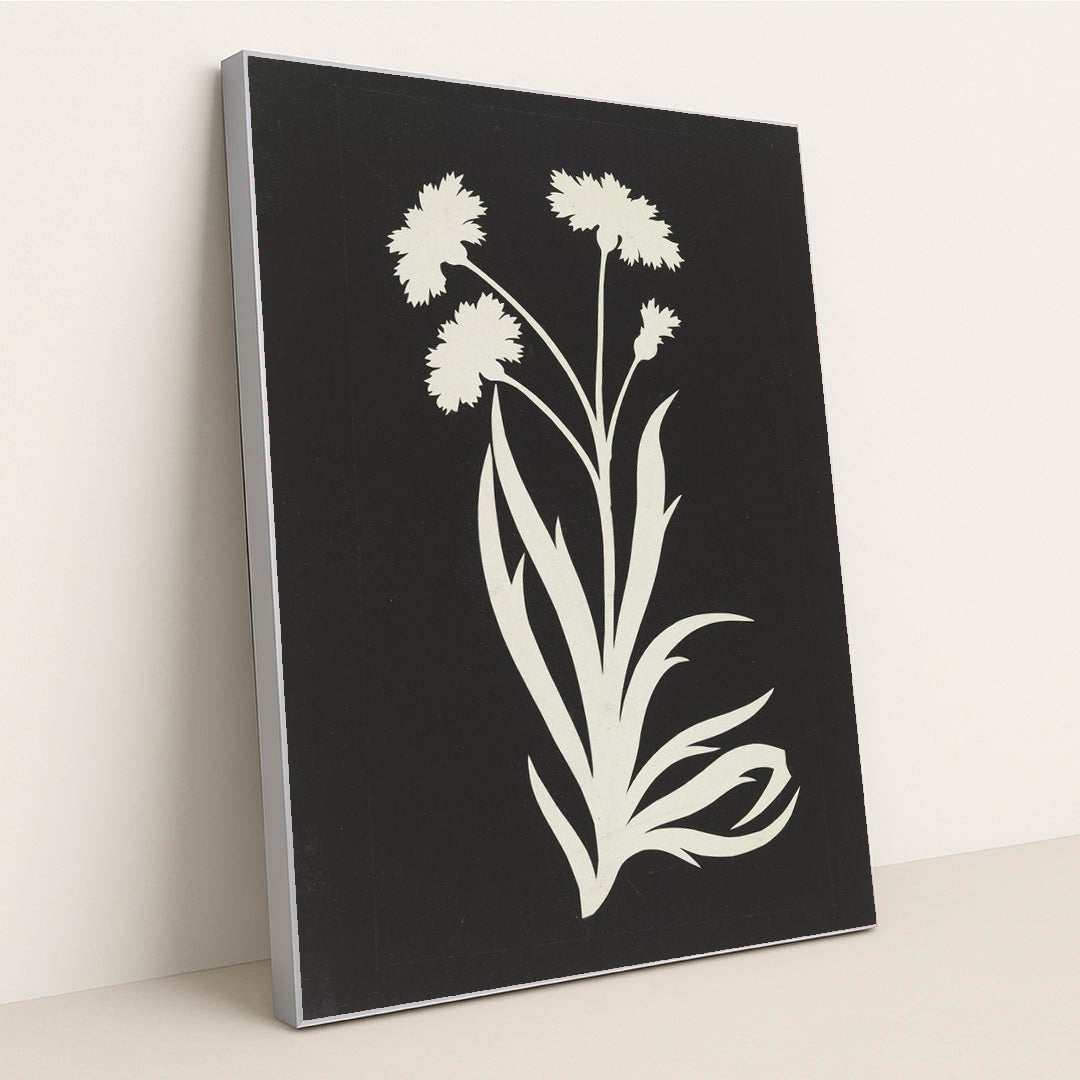 Cornflower by Philipp Otto Runge - Silver Frame Stretchiez