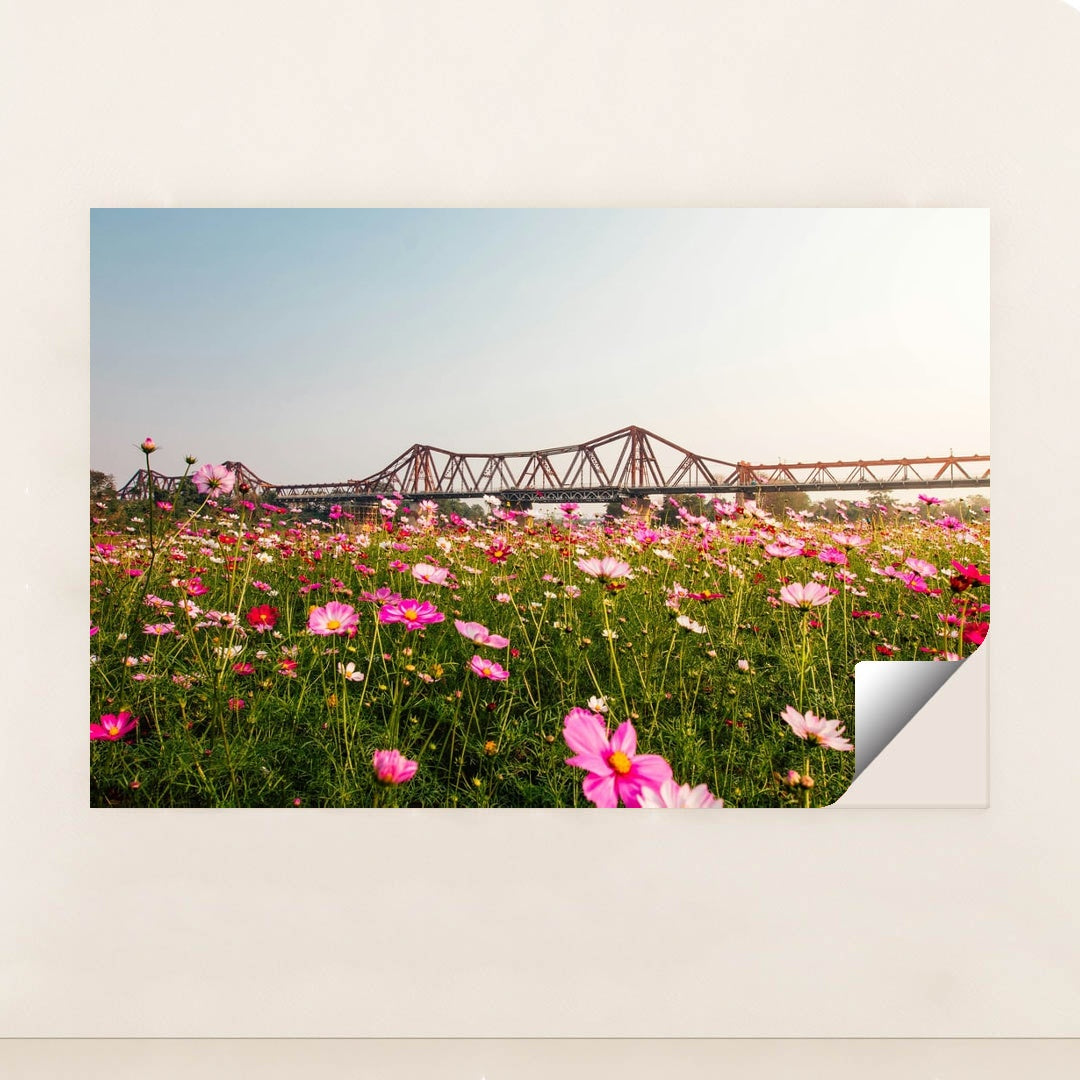 Cosmos Field Beneath the Iron Bridge by Ryan Le - Peeliez