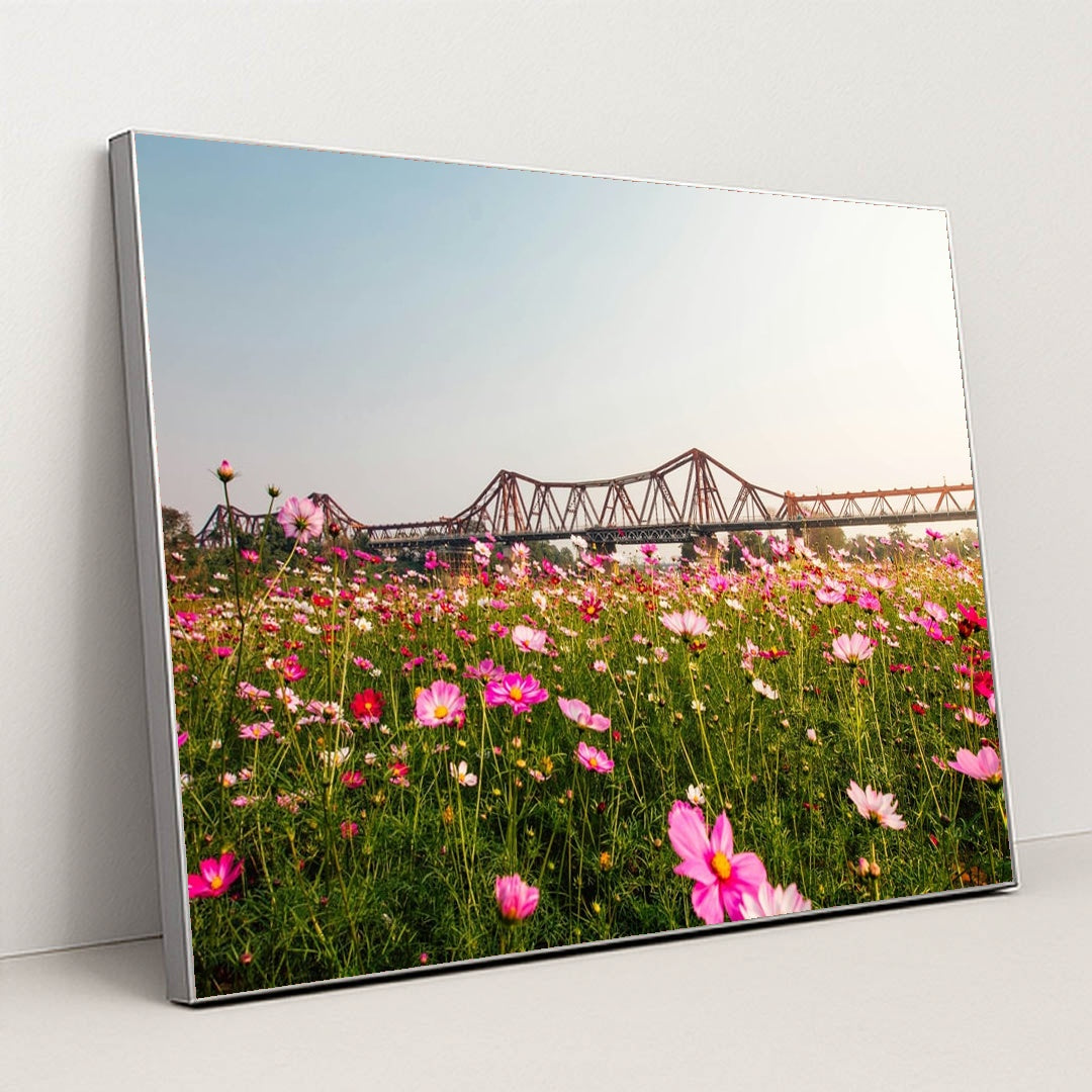 Cosmos Field Beneath the Iron Bridge by Ryan Le - Silver Frame Stretchiez