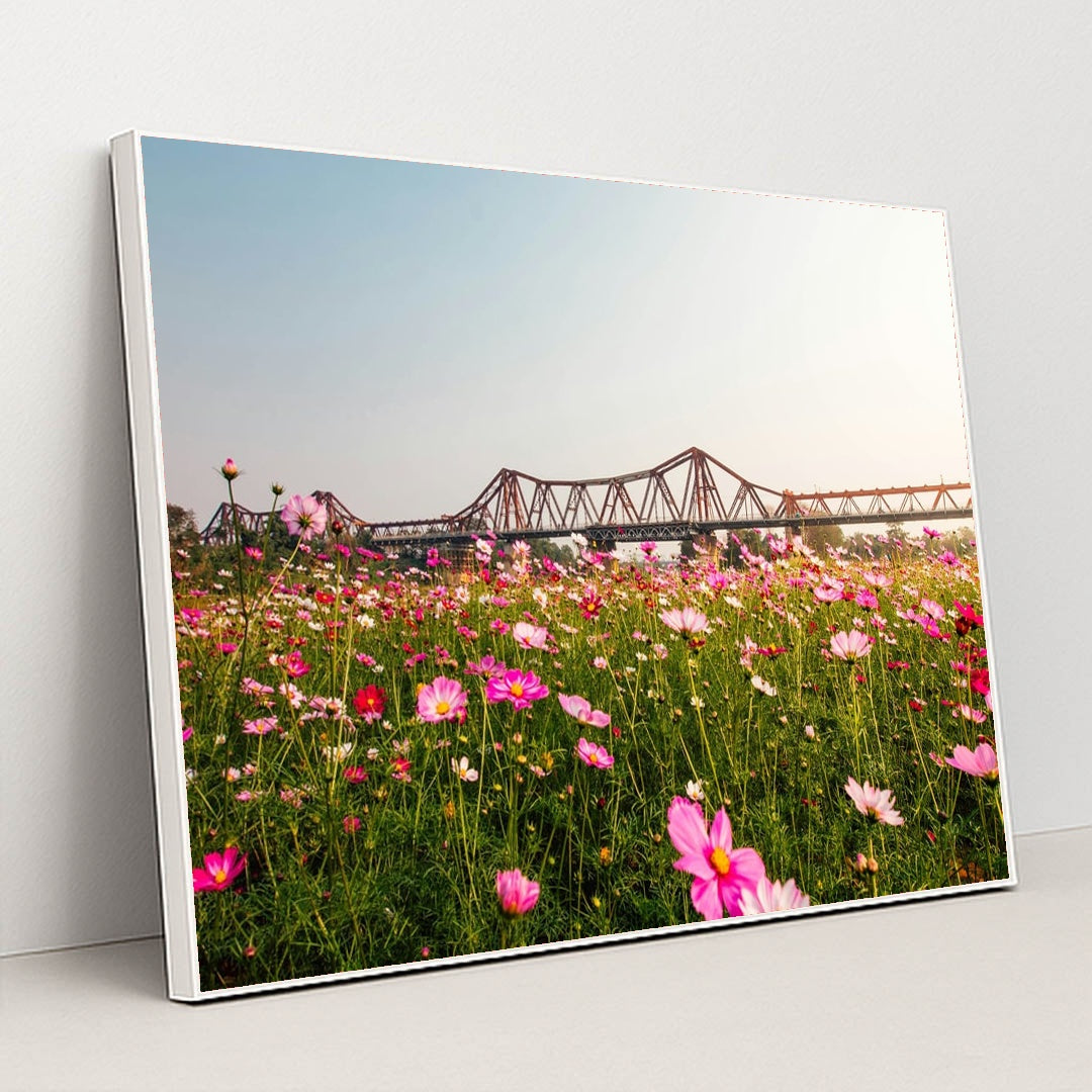 Cosmos Field Beneath the Iron Bridge by Ryan Le - White Frame Stretchiez