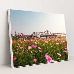 Cosmos Field Beneath the Iron Bridge by Ryan Le - White Frame Stretchiez