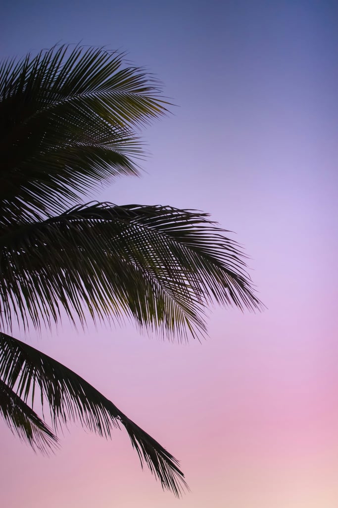 Cotton Candy Skies by Jace & Afsoon